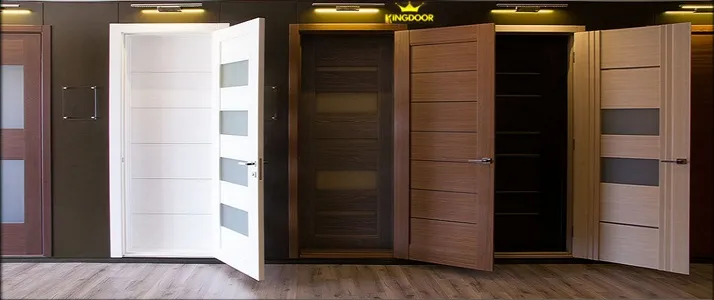 Mẫu cửa đẹp Phong cách hiện đại