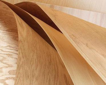 Cửa gỗ HDF Veneer phòng ngủ | Cấu tạo| Ưu điểm|Báo giá mới nhất 2022