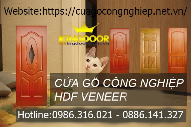 Cửa gỗ hdf veneer Kingdoor