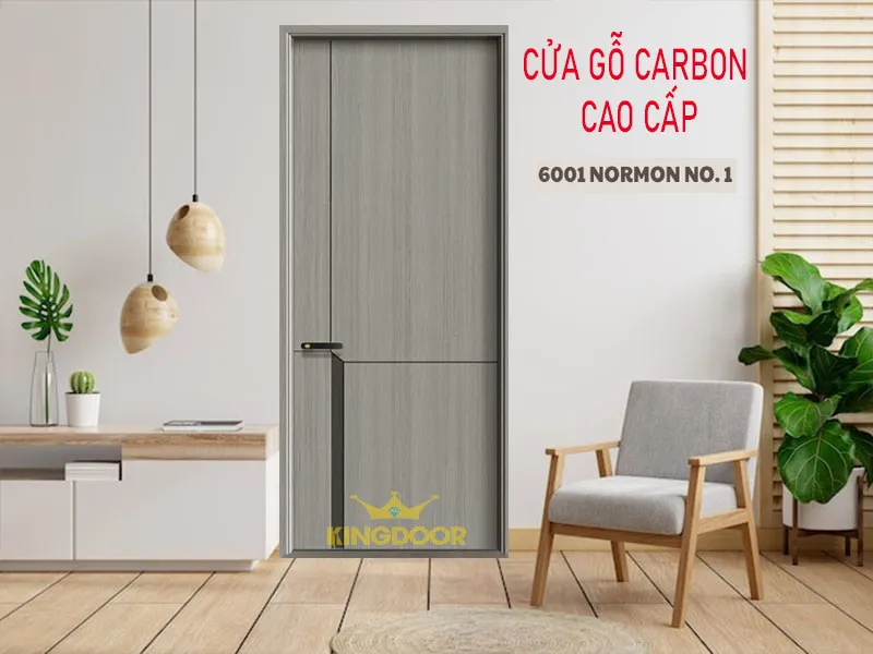 Cửa gỗ carbon