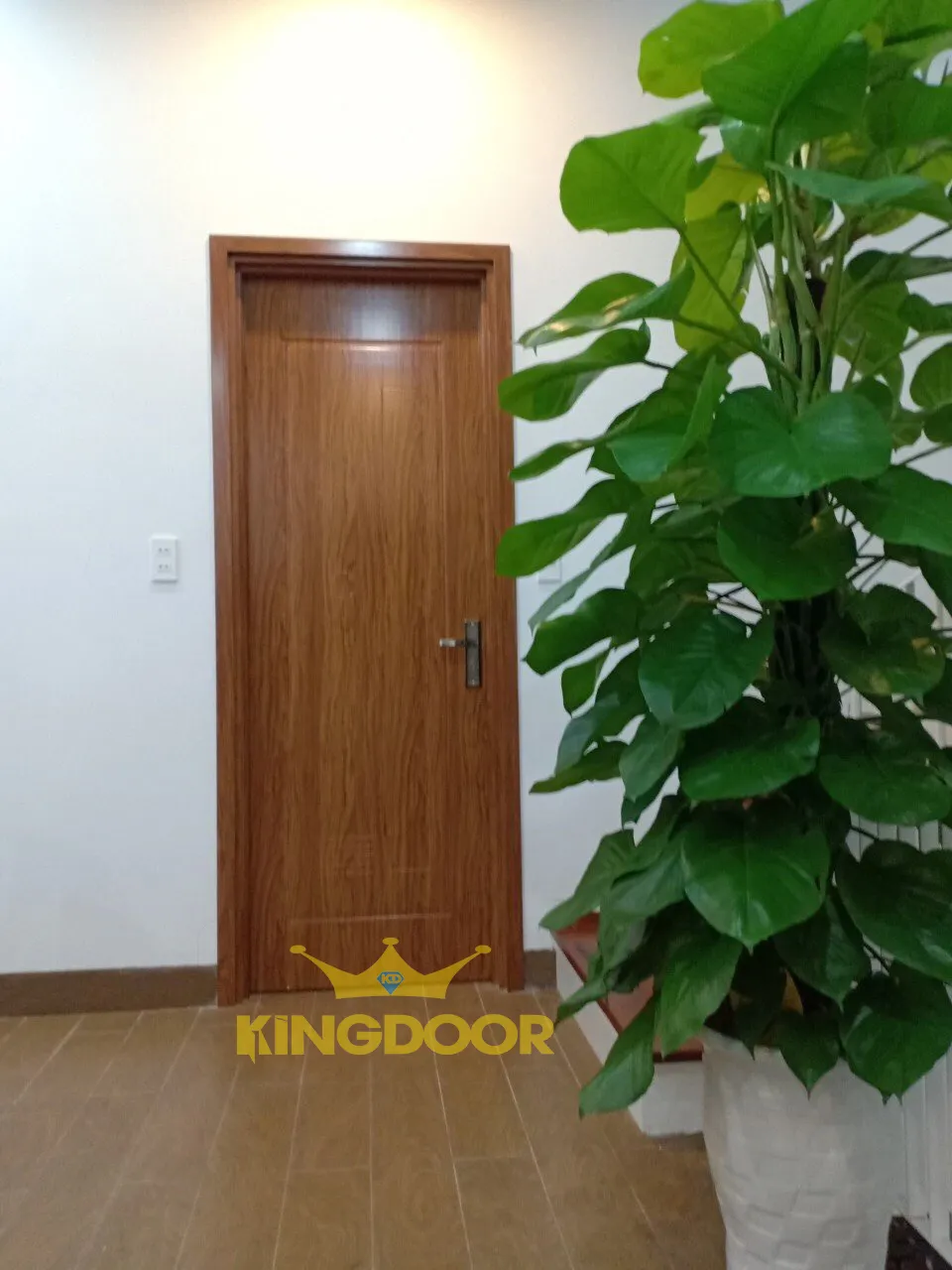 cua-nhua-composite-luxury